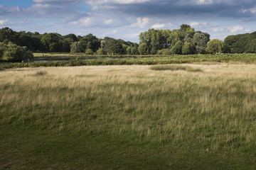 Richmond park