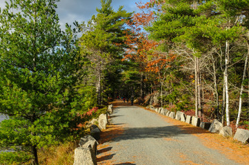 acadia national park