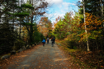 acadia national park