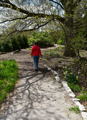 Obraz premium Woman walking on tree lined path