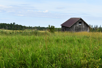 Fototapeta na wymiar Rustic cabin in a meadow
