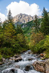Fototapeta na wymiar mountain landscape / mountain view from the trail 