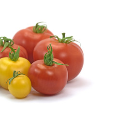 Tomaten, Solanum lycopersicum, Tomatoes