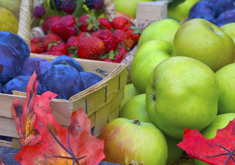 Autumn harvest concept. Ripe organic fruits and berries with autumn leaves.Apples,plums,strawberries,blackberries.Selective focus.