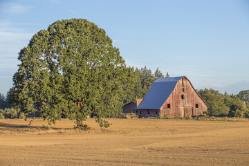 barn