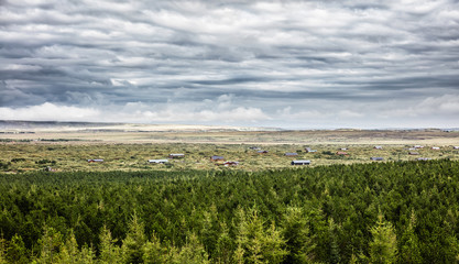 Naklejka premium Valley with houses surrounded with coniferous forest. Icelandic landscape 