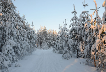 Зимний пейзаж © anatolyshir