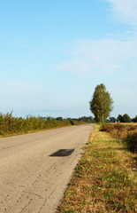 The old asphalt road to the village