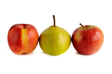 nectarine and pear and apple in a row on a white background
