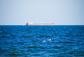 gull swimming in the blue sea, ocean, ship background