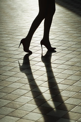 Female legs in fashionable shoes