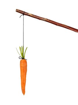 Stick and carrot