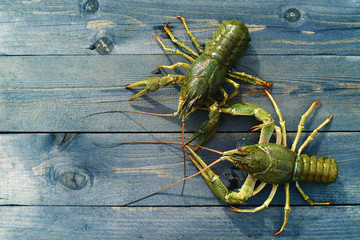 Live crayfish on a wooden surface of a table, top view
