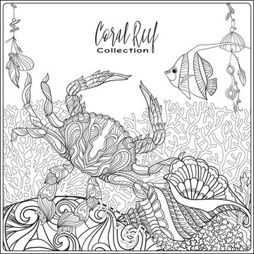 Coral reef collection. Anti stress coloring book for adult and. Outline drawing coloring page.