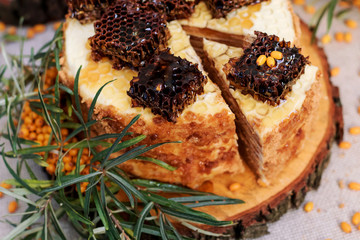 Piece of homemade honey cakes with honeycom and sea buckthorn. Autumn still life. Close up.