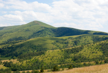 Fototapeta na wymiar Mount Zlatibor, Serbia