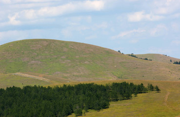 Fototapeta premium Mount Zlatibor, Serbia
