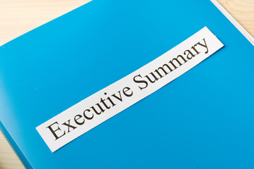 executive summary - 121507220