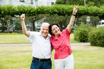 Portrait Of Elder Couple Raising Their Arms