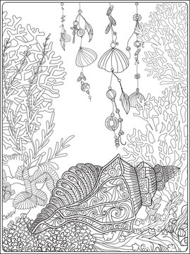Coral reef collection.Anti stress coloring book for adult and. Outline drawing coloring page.