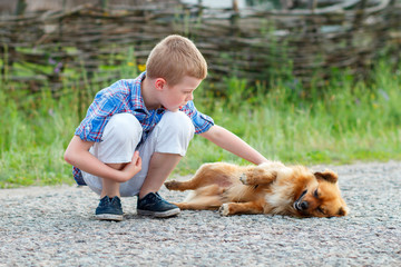 little boy in a plaid shirt stroking a red dog, dog lying on asphalt road. Best friends. Outdoor