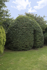 Hornbeam Gazebo in an English Country Garden