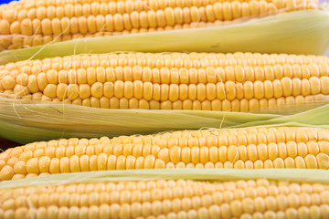 Fresh corns on a table