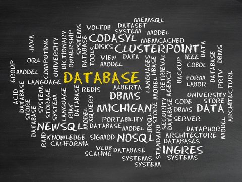Database
