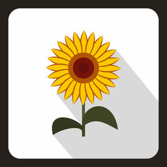 Sun flower icon in flat style with long shadow. Plant symbol vector illustration