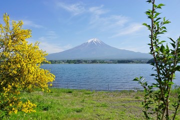 The Mount Fuji in Japan