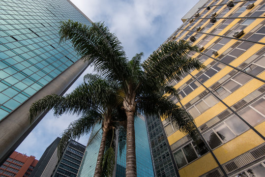 Modern Architecture Office Buildings in Paulista Avenue in Sao Paulo