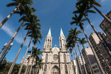 View of Se Cathedral Between Palm Trees in the Old Center of Sao Paulo City