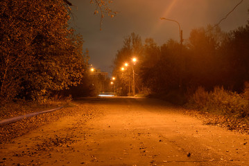 Street in the village at night.