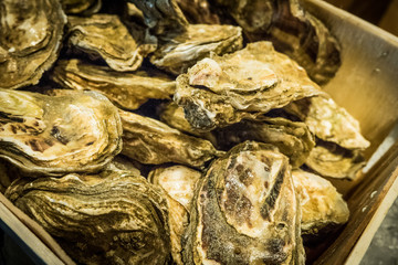 Fresh oysters served