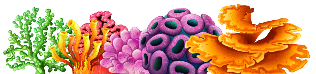 Coral reef on white background © GraphicsRF