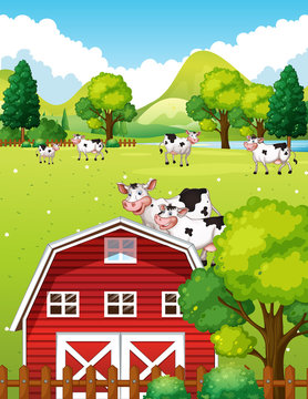 Farm scene with cows and barn