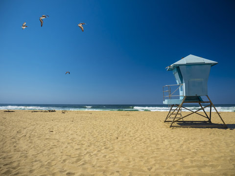 Life Guard Rescue Hut at beach / California, pelicans flying high above