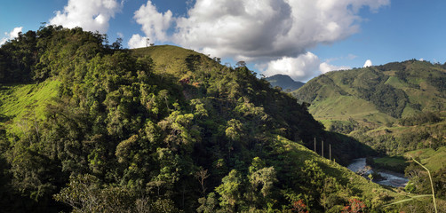 Image of the rainforest in the peruvian amazon.