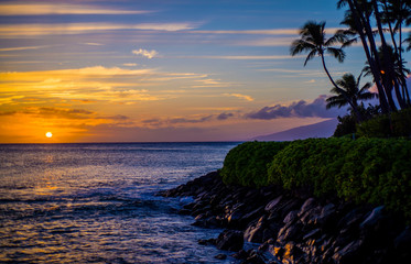 coconut palms, lava shoreline, maui sunset
