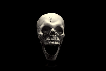 The Skull