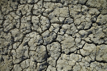 Climate warming dry chapped land