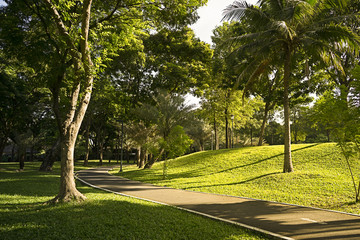Park in the morning