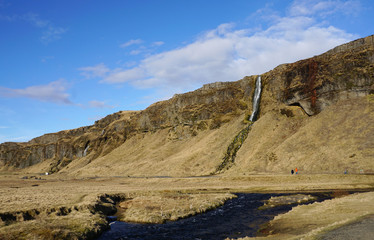 Beautiful Meadow landscape with mountain background