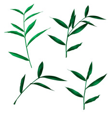 green leaf set