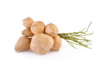yam bean or jicama with stem on white background