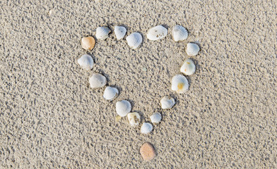 Heart of cockle shells