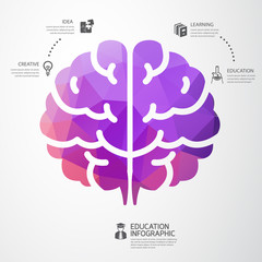 infographic Template brain education and science concept vector