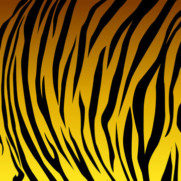 Animal skin yellow tiger. vector Eps 10