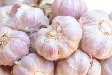 Closeup to garlic clove, garlic bulb.