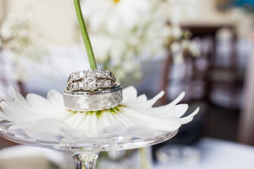 Wedding rings on a daisy flower